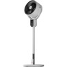 morphy-600112