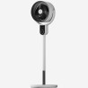 morphy-600112